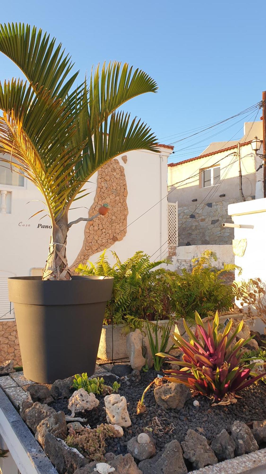 Ferienwohnung El Atico Bonito Las Playas Exterior foto